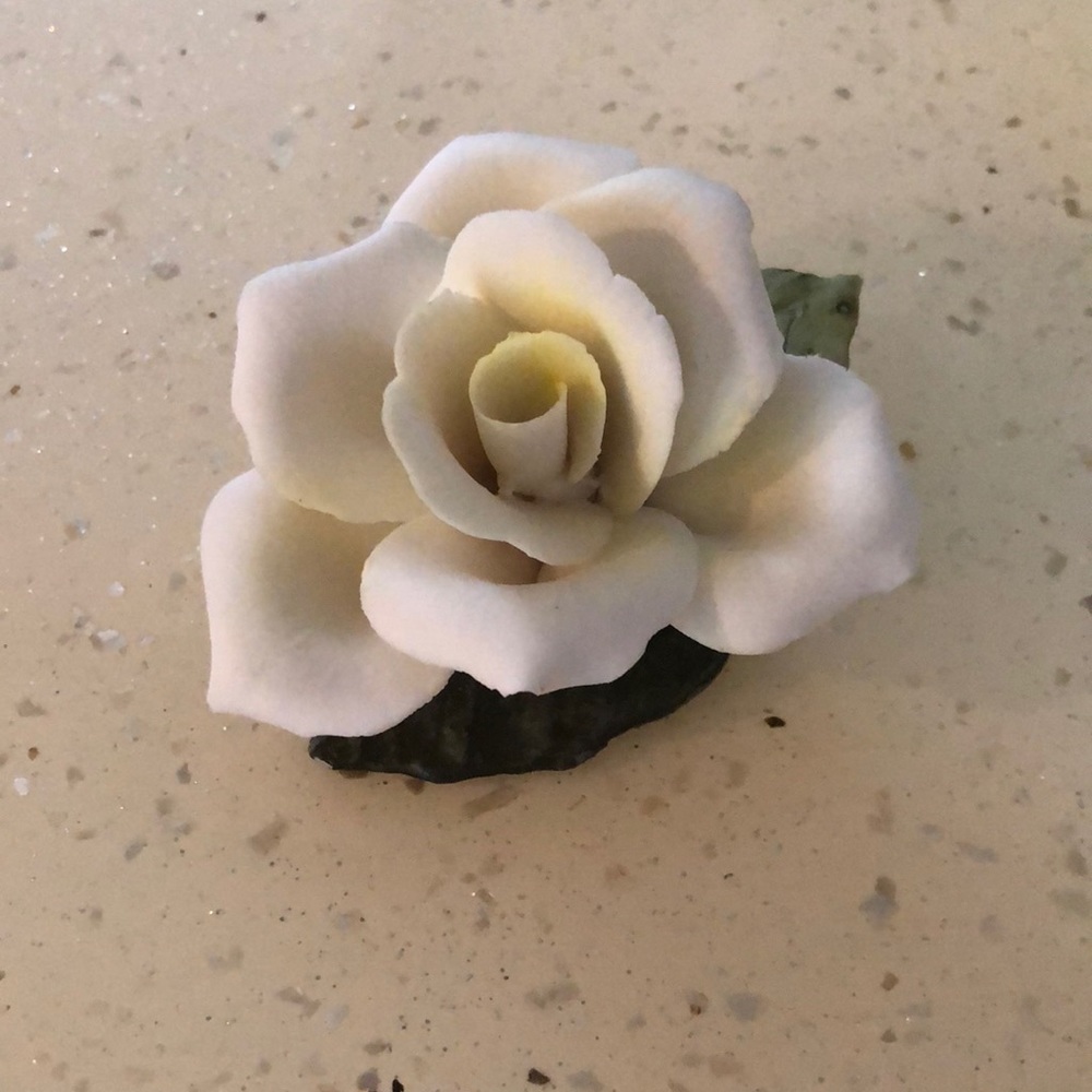 🌹Porcelain Offwhite Rose